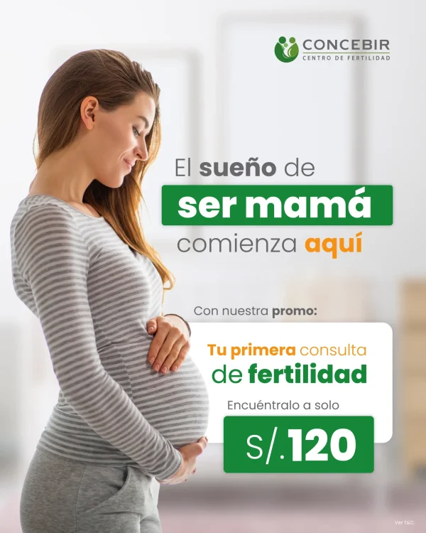 Primera Consulta - Oct Nov y DIC