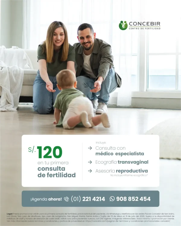 Primera consulta 120 - mayo a julio 2026