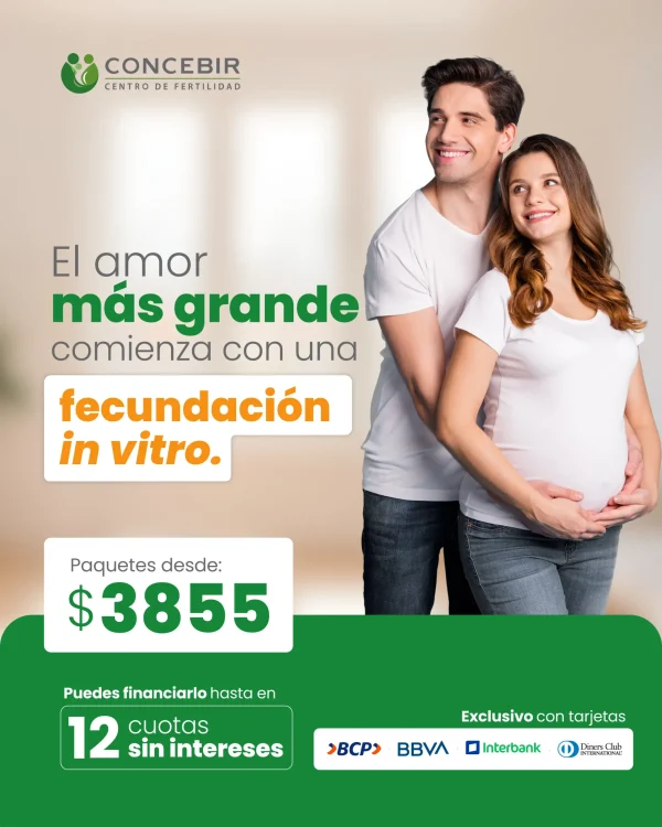 Promo FIV - Oct Nov y Dic